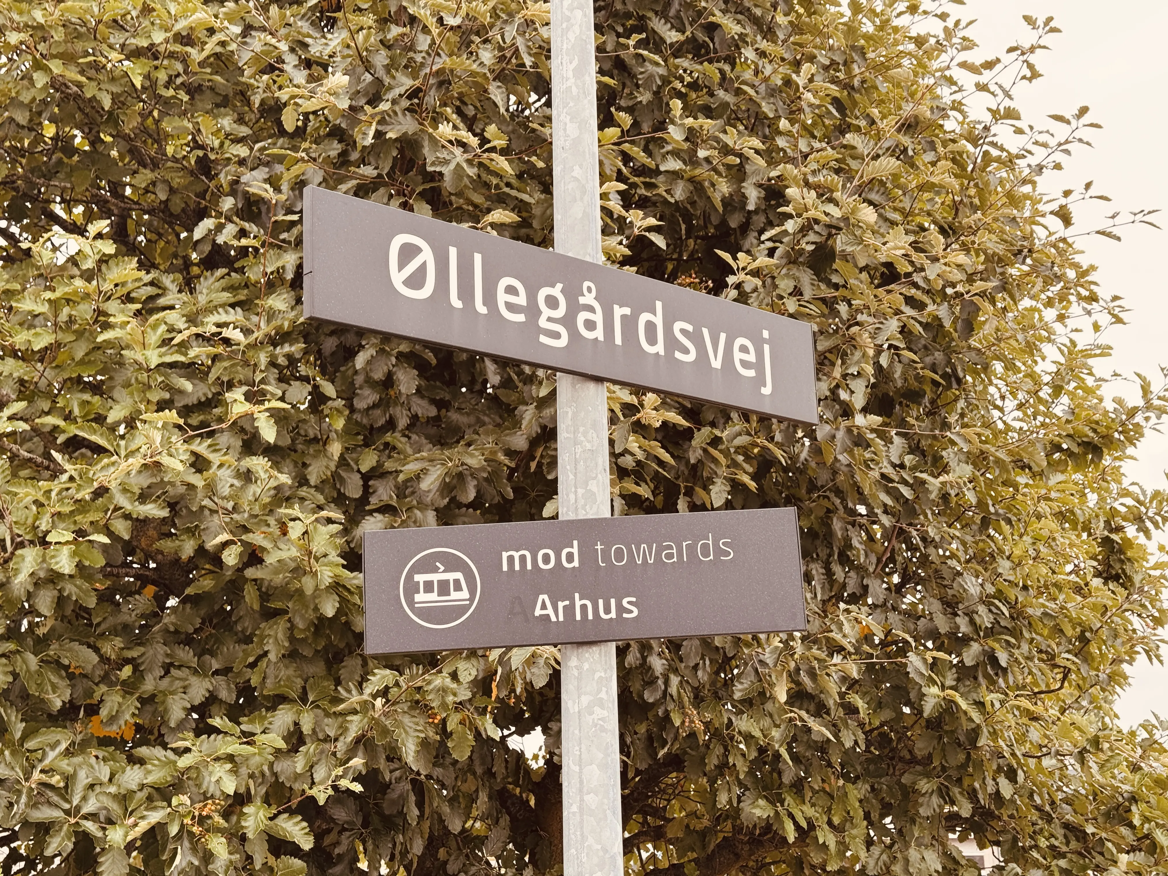 Billede af Øllegårdsvej Trinbræt.
