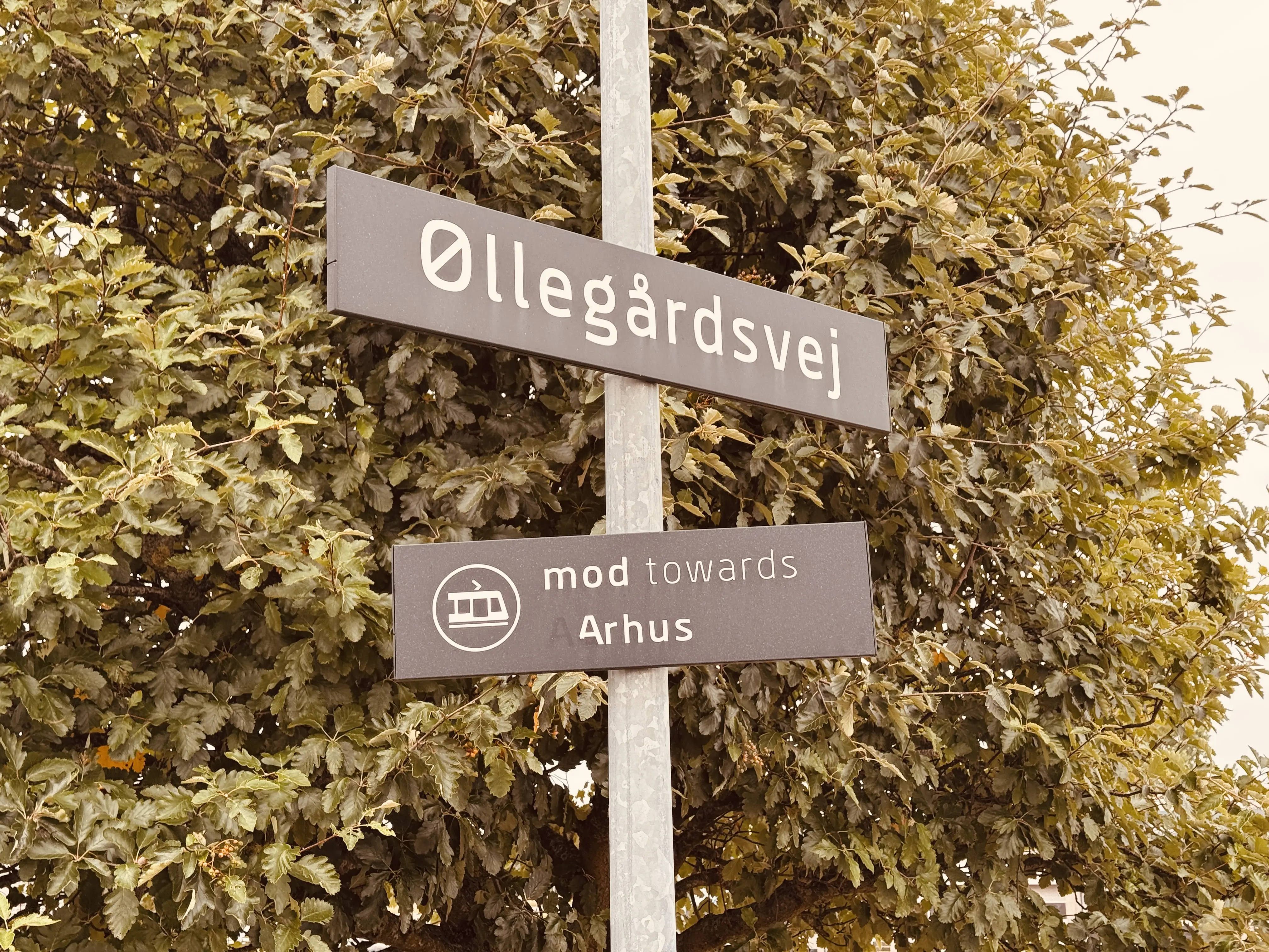 Billede af Øllegårdsvej Letbanestation. Billede af Øllegårdsvej Letbanestation.
