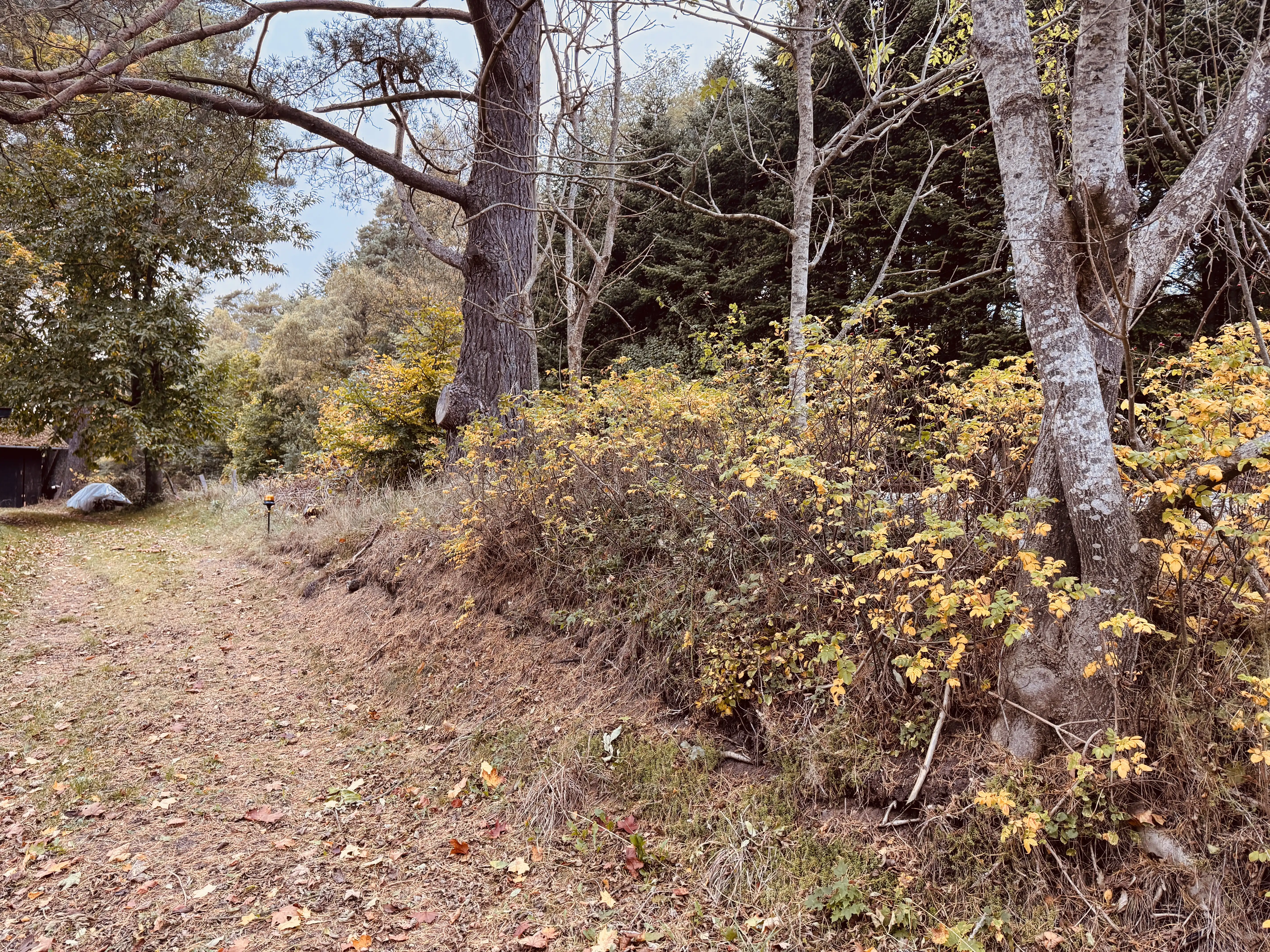 Billede af Svejbæk Holdeplads - Holdeplads er nedrevet, men Svejbæk Holdeplads har ligget her. Billede af Svejbæk Holdeplads - Holdeplads er nedrevet, men Svejbæk Holdeplads har ligget her.