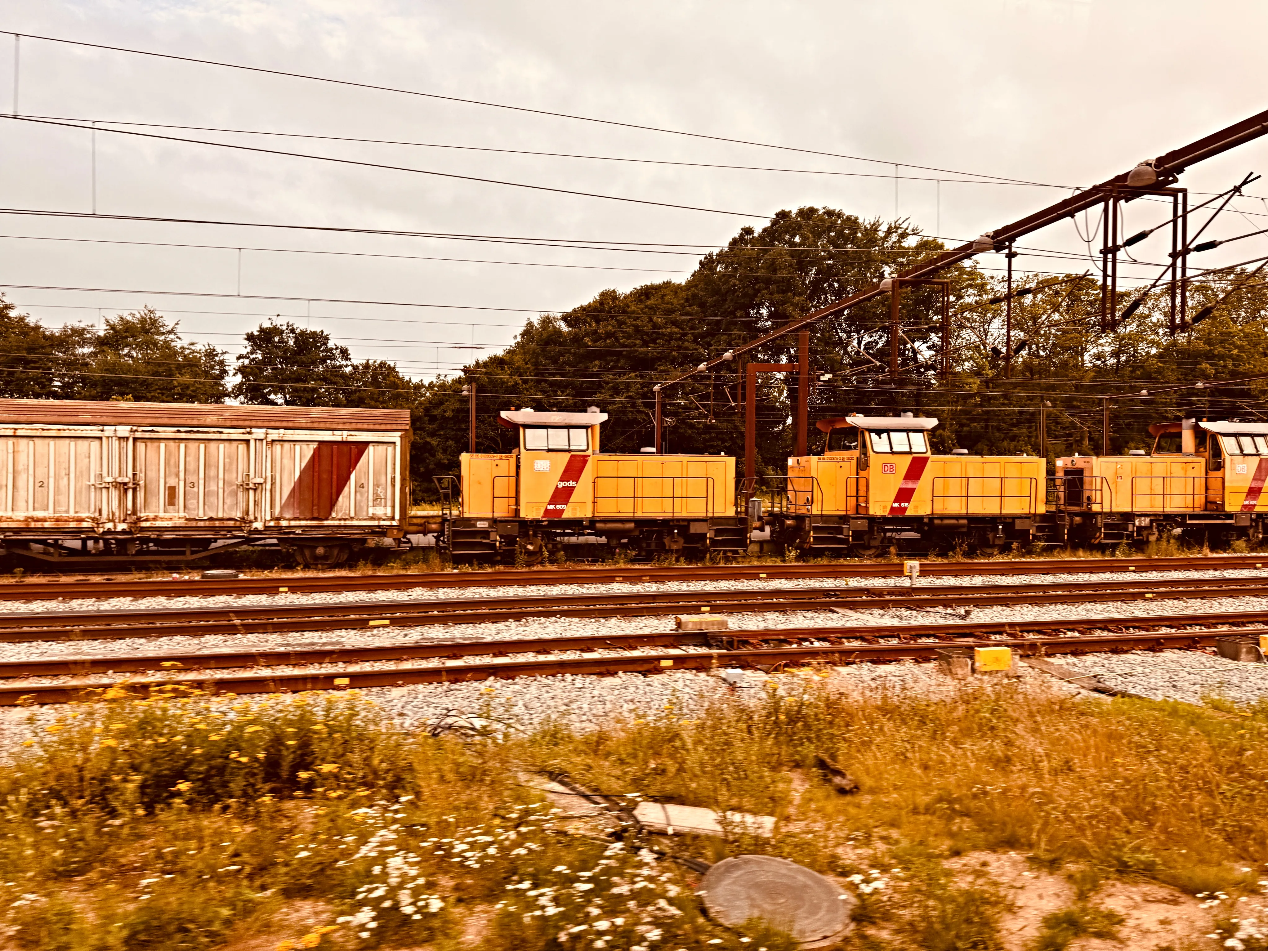 Billede af DBCSC MK 609, tidligere DSB MK 609 fotograferet ud for Fredericia Station. Billede af DBCSC MK 609, tidligere DSB MK 609 fotograferet ud for Fredericia Station.